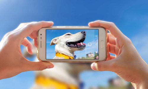 how_to_take_better_photos_with_your_phone_hero