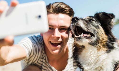 pet-selfie-812bdc83442849aeb8eae29e5c1e4d6f